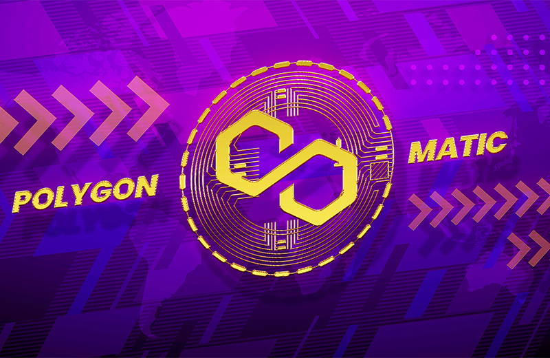 800x520